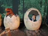 img20231206143846-kopiowanie-jpg1706818930